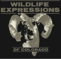 Wildlife Expressions